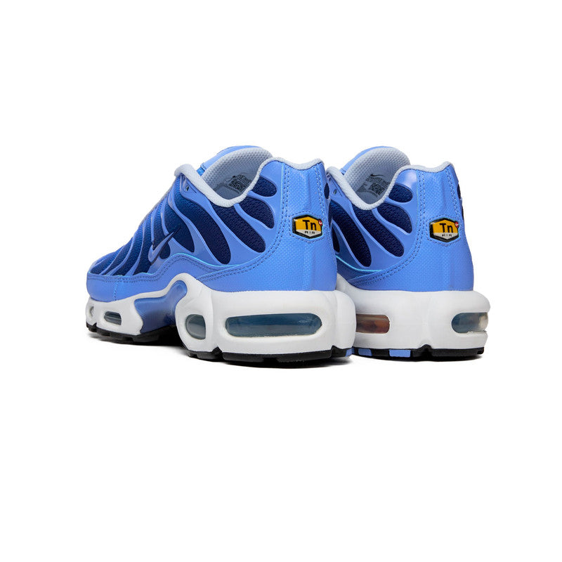 nike air max plus hydrogen blue